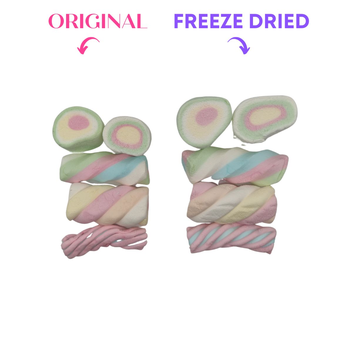 Freeze Dried - Spek Festival Vanilla XXL