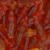 Haribo - Happy Ice Tea