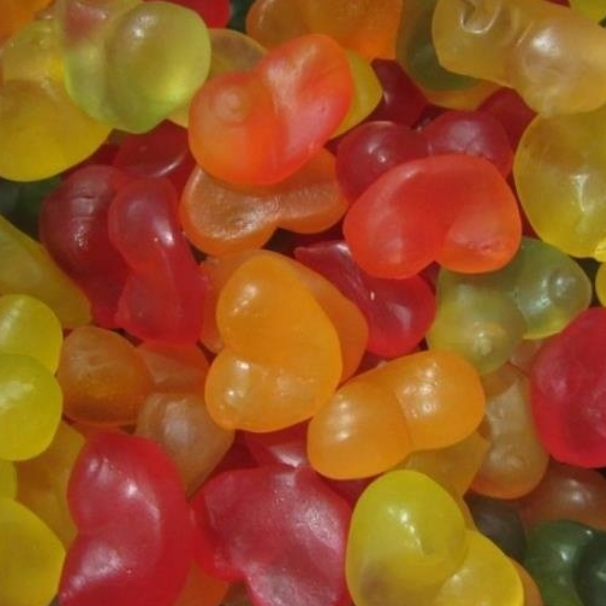 Matthijs - Winegum Borsten